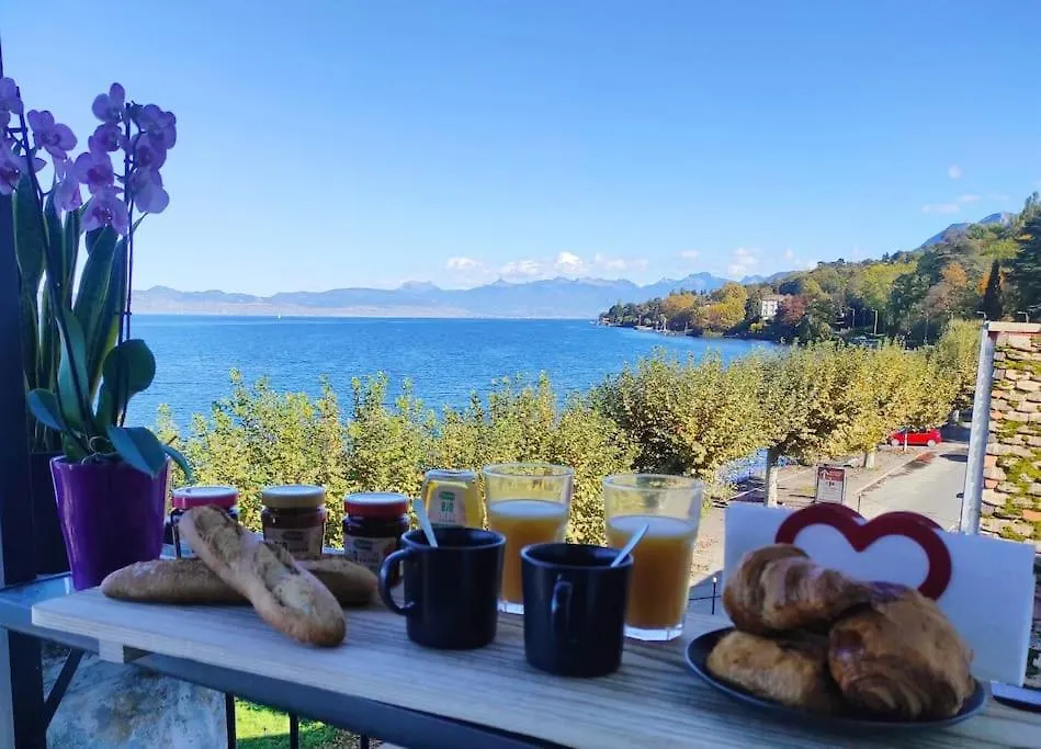 Bellerive Love Suite Magnifique Vue Lac アンフィオン・レ・バン フランス